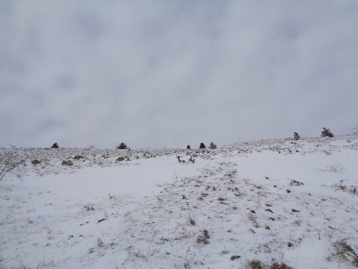 Direttissima verso la Serra