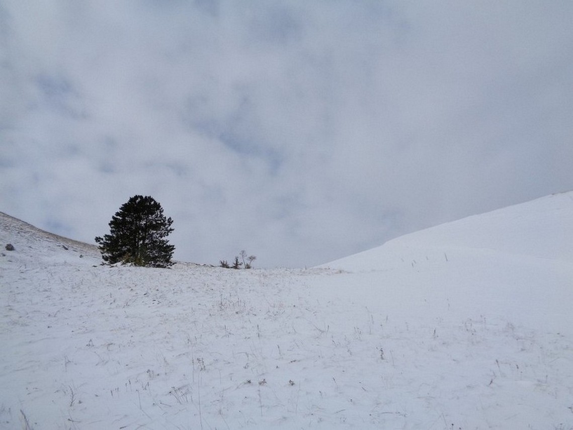 Verso la sella