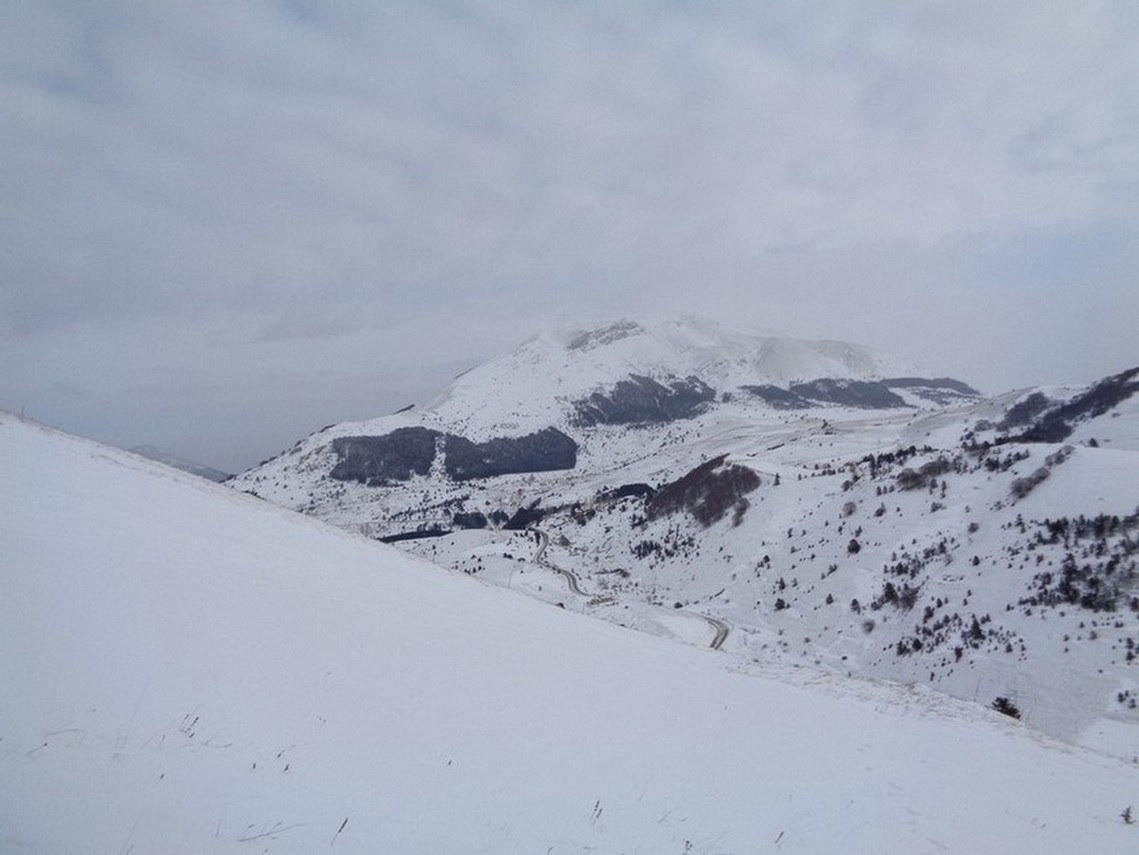 Con la neve si distinguono bene i rimboschimenti del passato