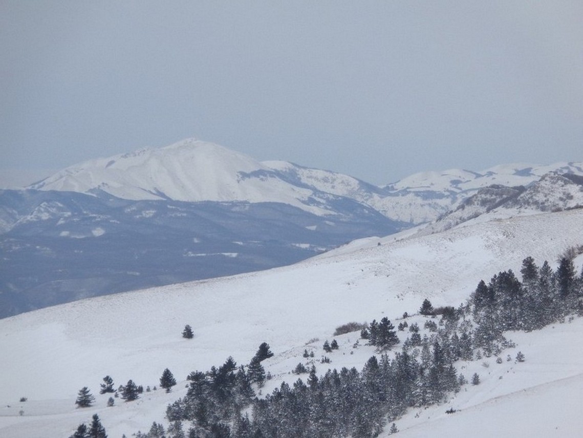 Il Monte di Cambio