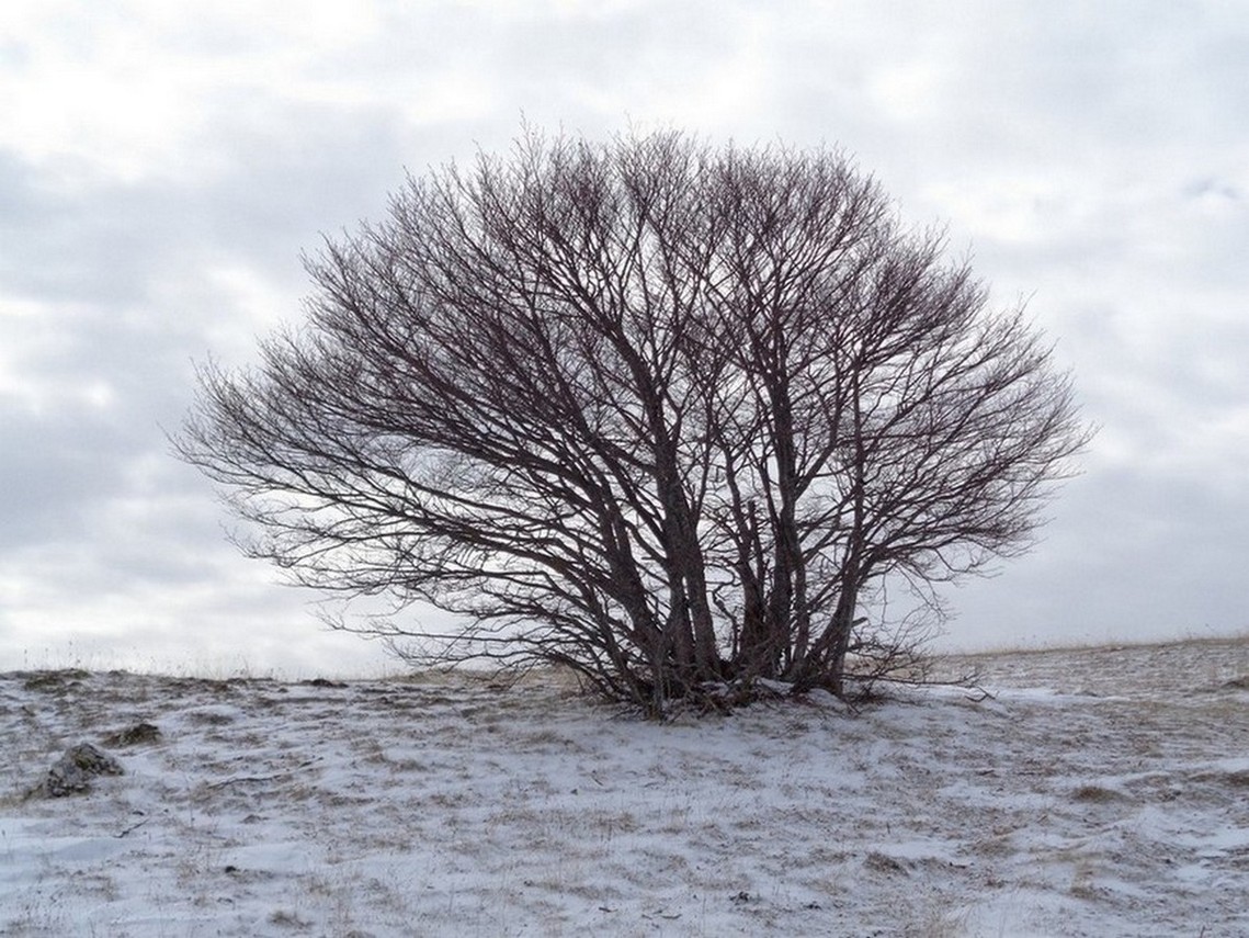 Inverno in quota