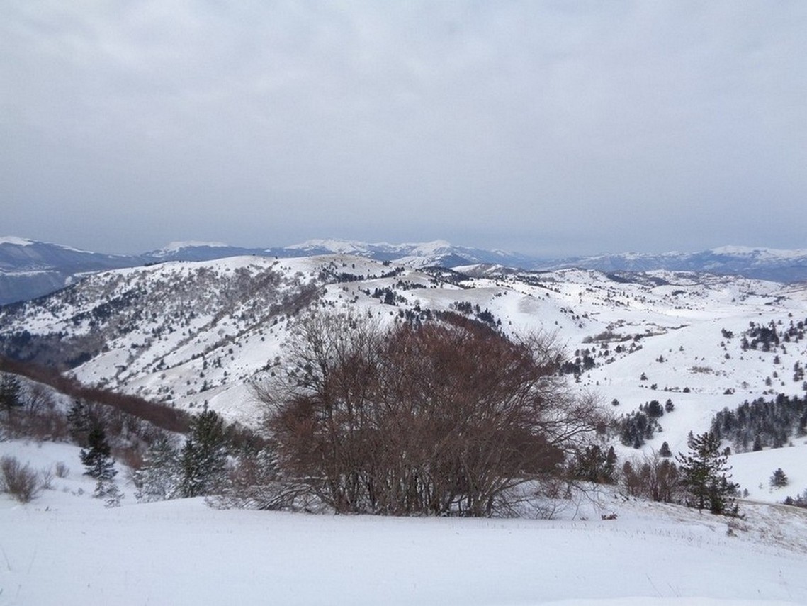 Finalmente la Neve