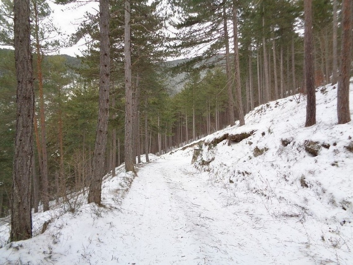 La strada sterrata nei pressi del Fosso delle Pacine