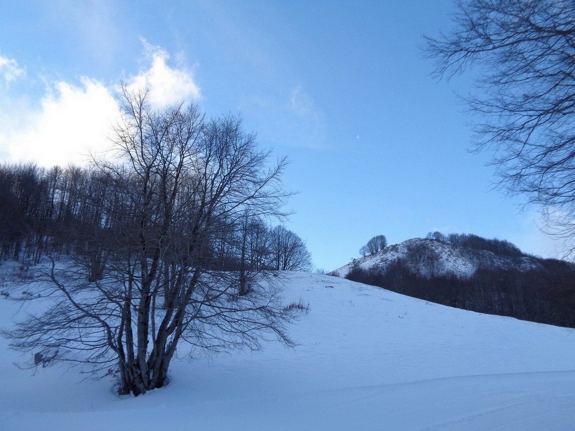 Verso la Sella che porta in quota