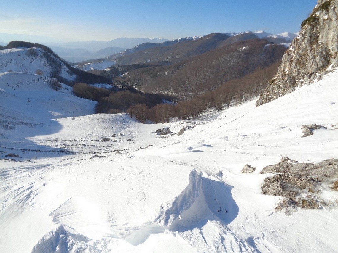 Il bosco che attraverseremo sotto alla Costa delle Cicogna
