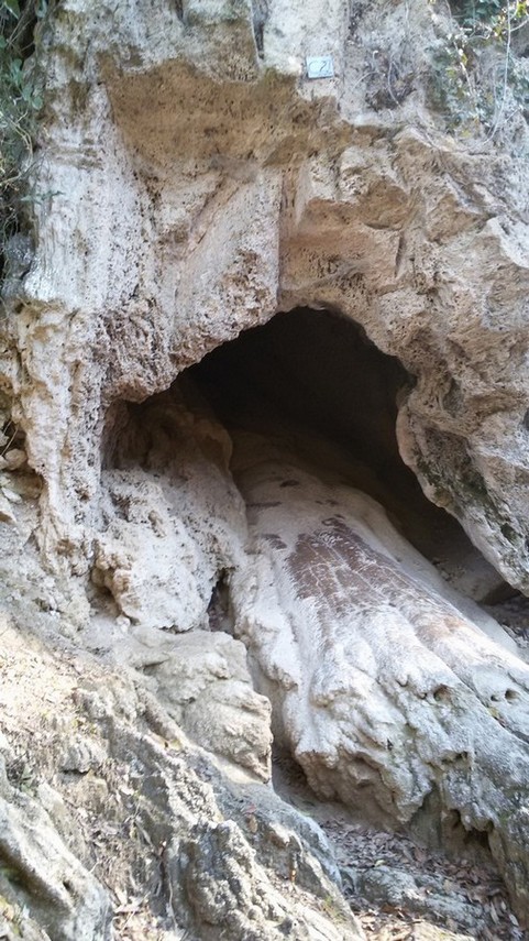 Antichi scivoli d'acqua