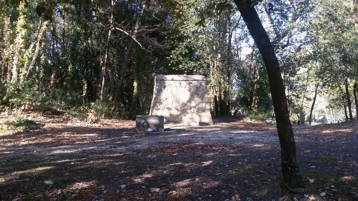 Interno del Parco