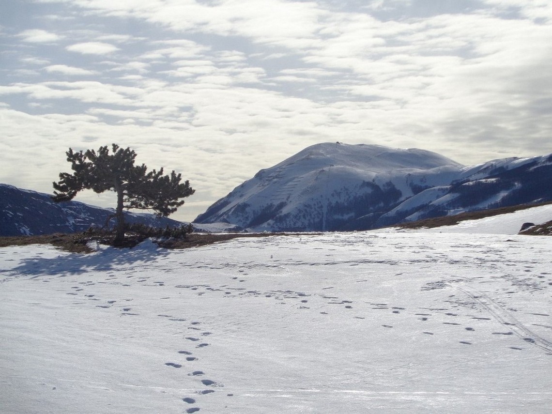 Il Monte Rotondo