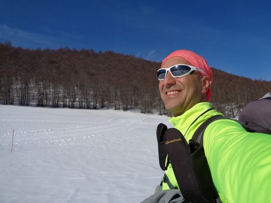 Faggete ancora in veste invernale