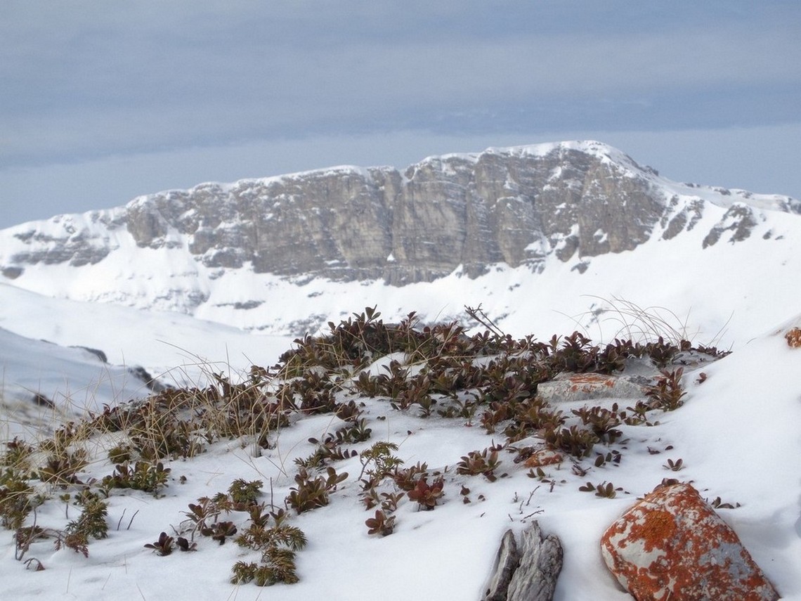La punta a destra è quota 2239m