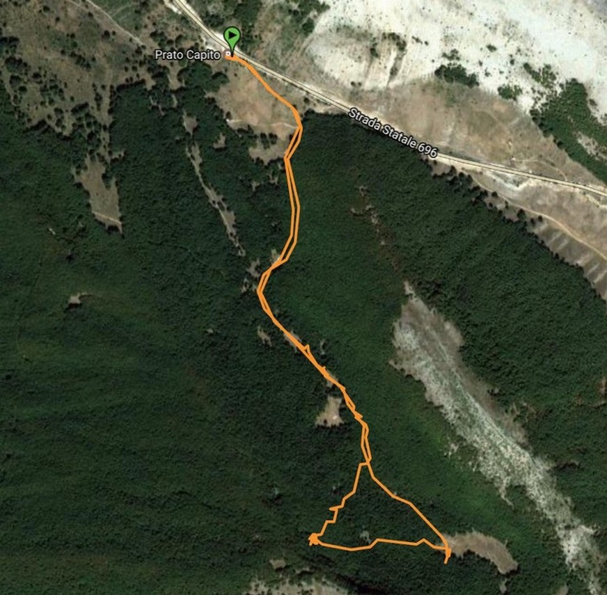 La traccia del mio GPS