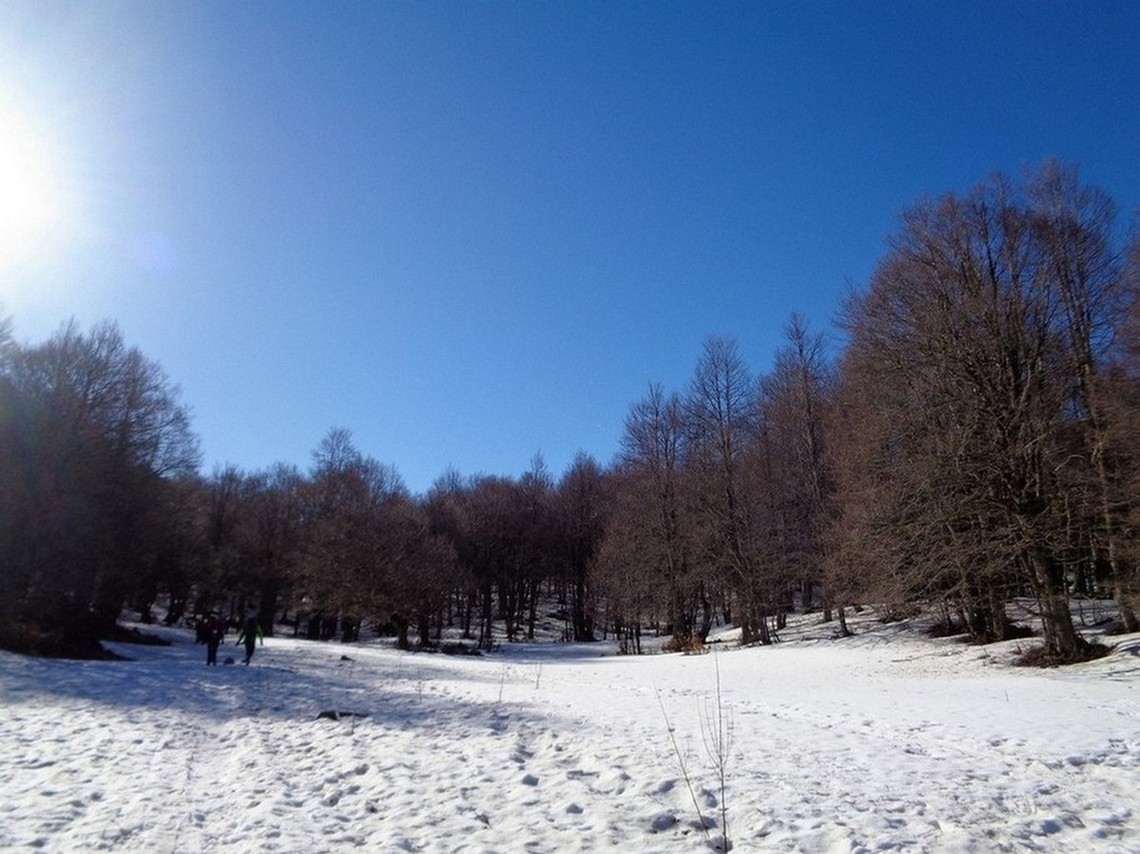 Finalmente un po di neve