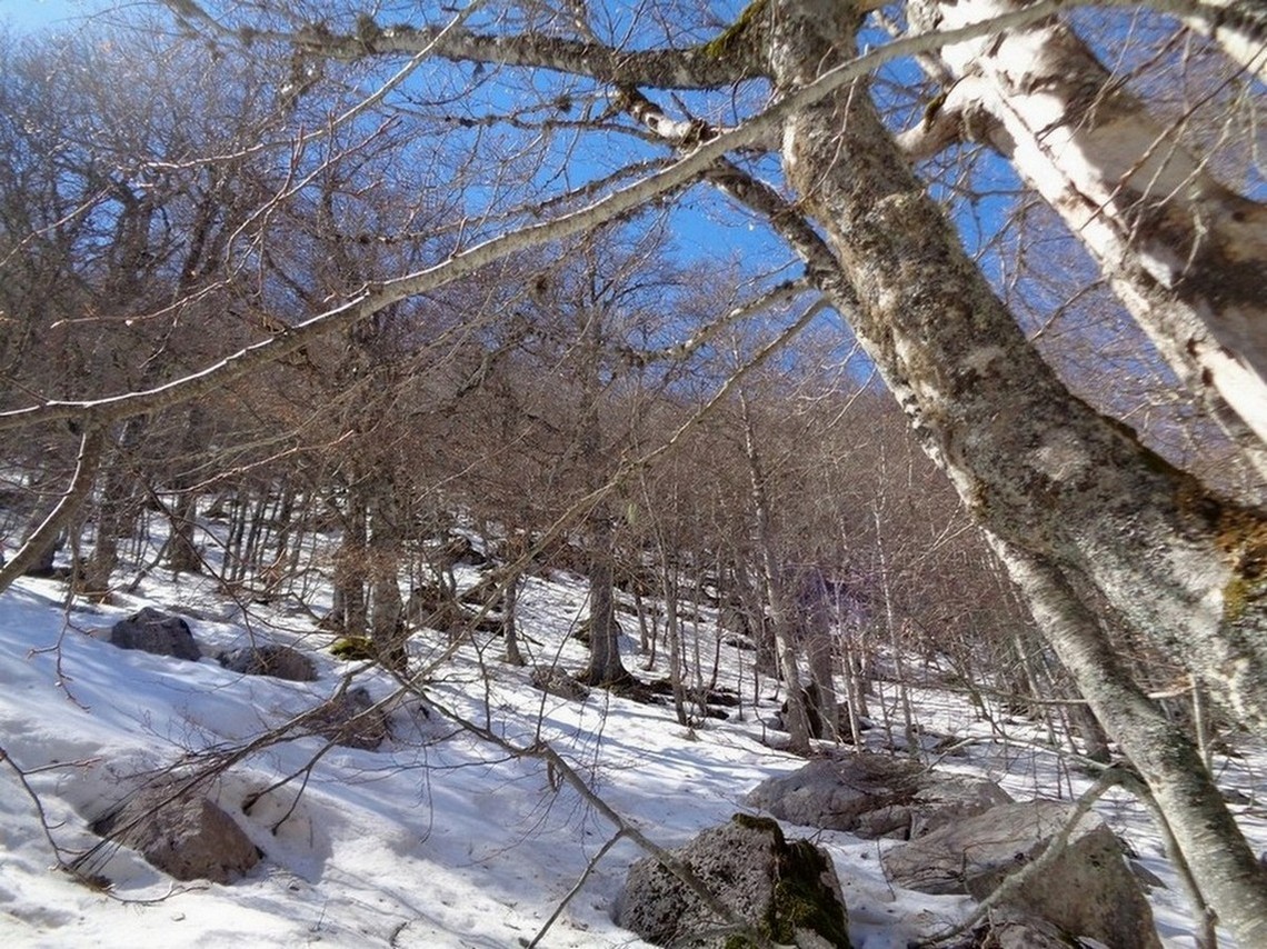 Siamo saliti in prova