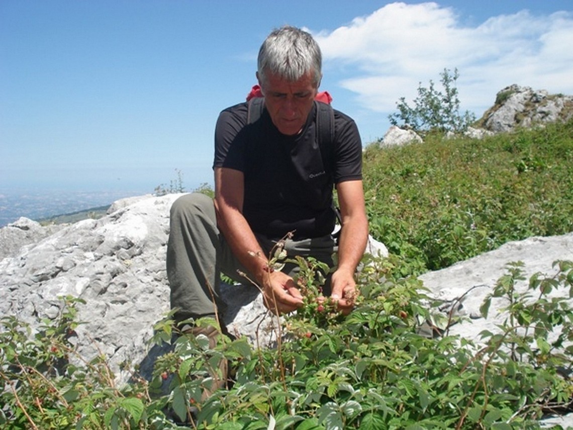 Il Nitico Vincenzo ABBATE
