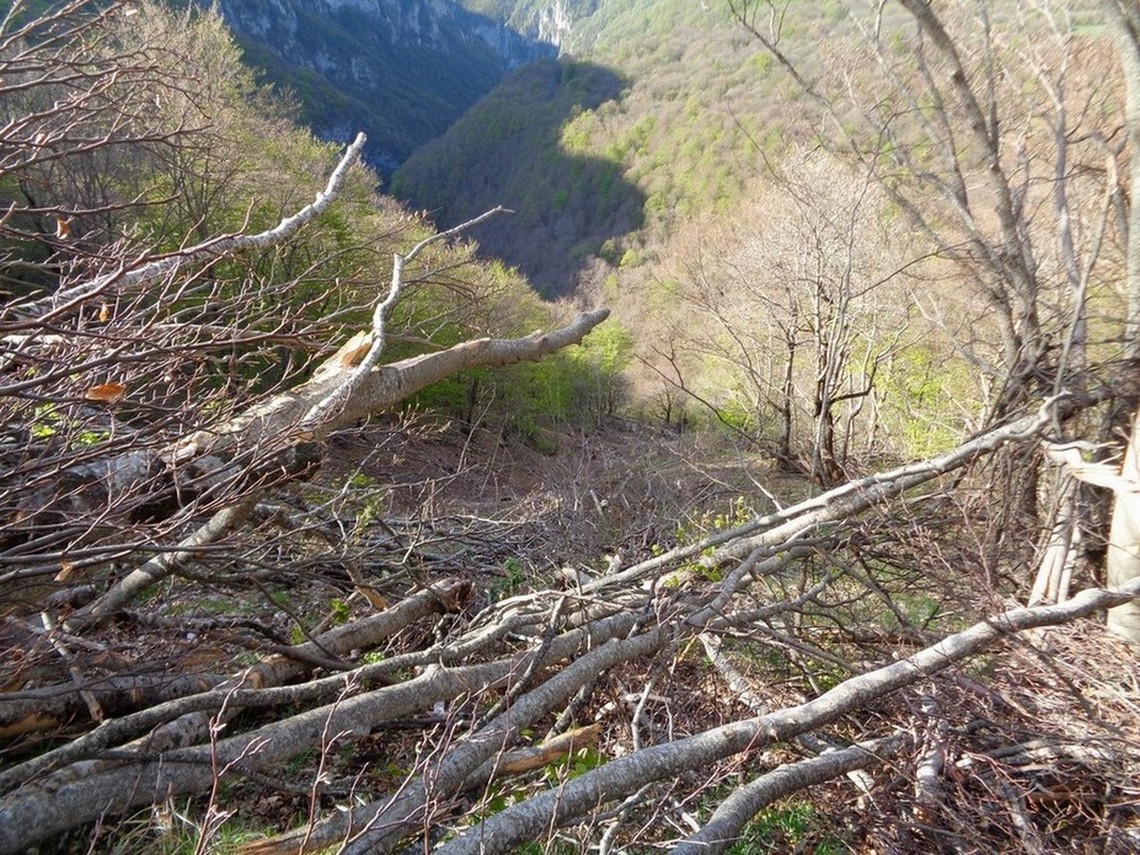 verso il basso