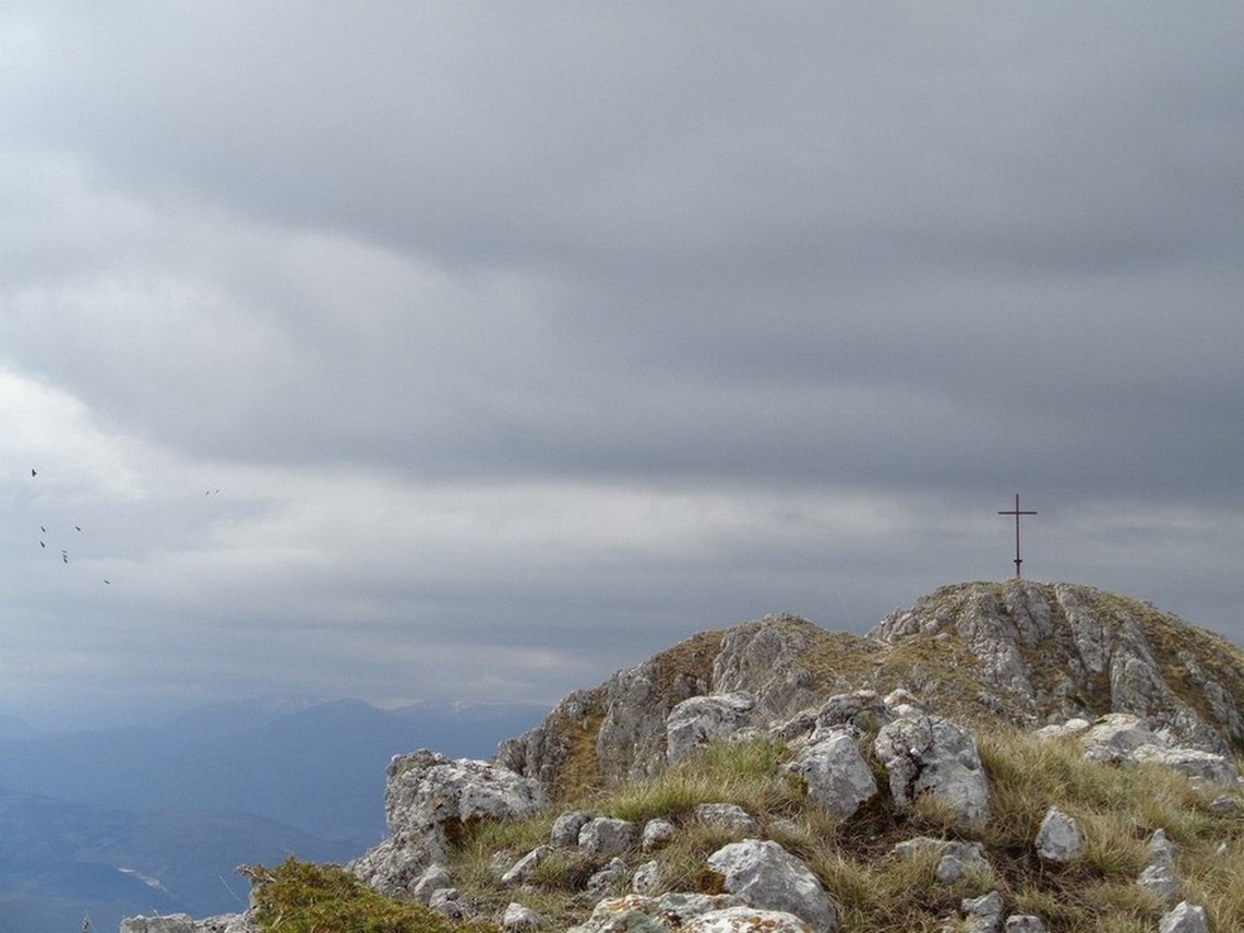 Ecco la Croce