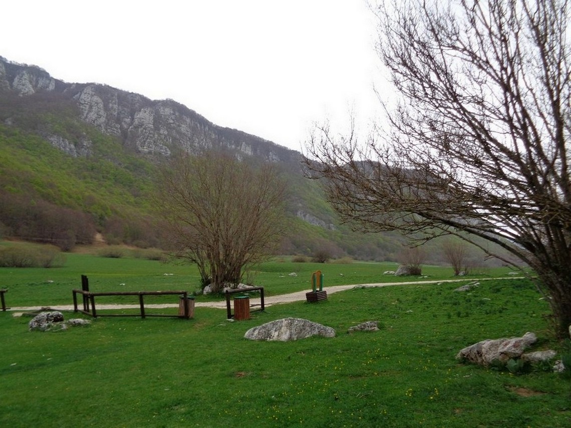 Che verde meraviglioso