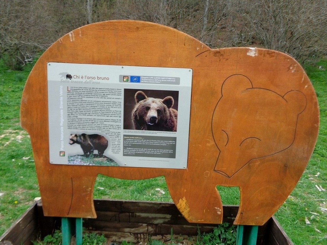 W l'Orso