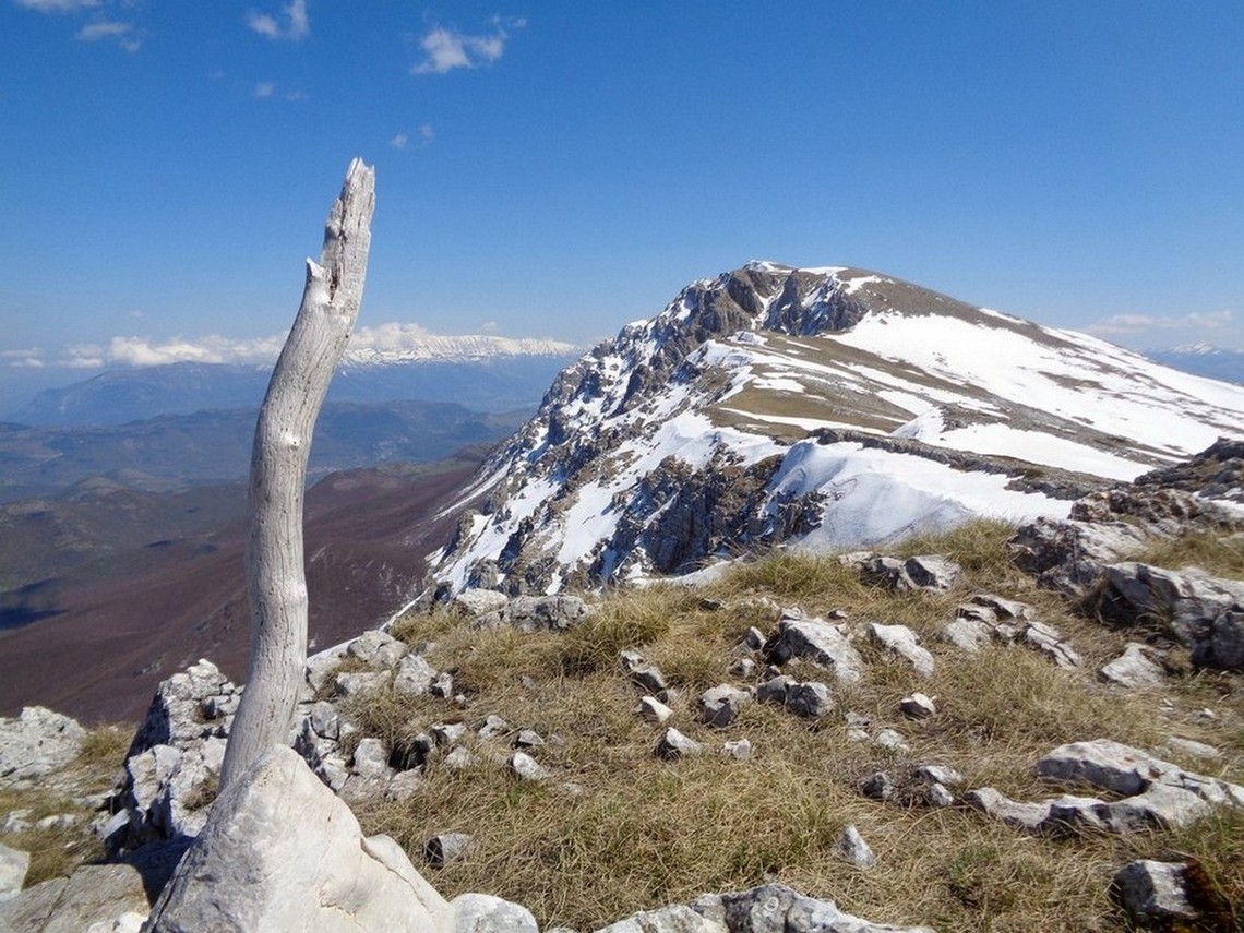 Il Sirente sullo sfondo...abbiamo fatto tutto questa cresta