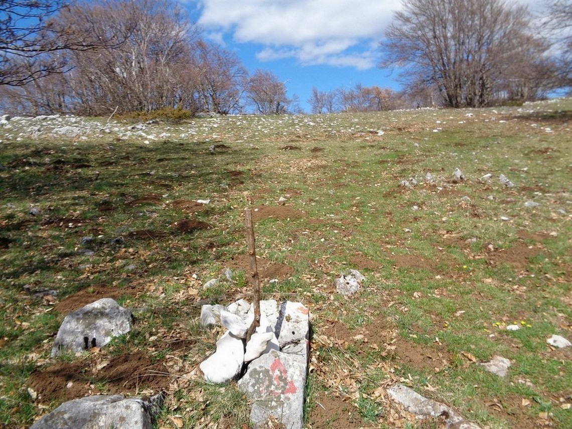 Segnali