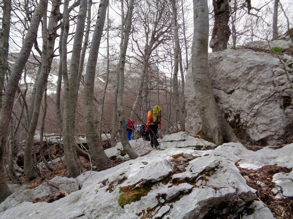 Dentro il bosco fitto e roccioso