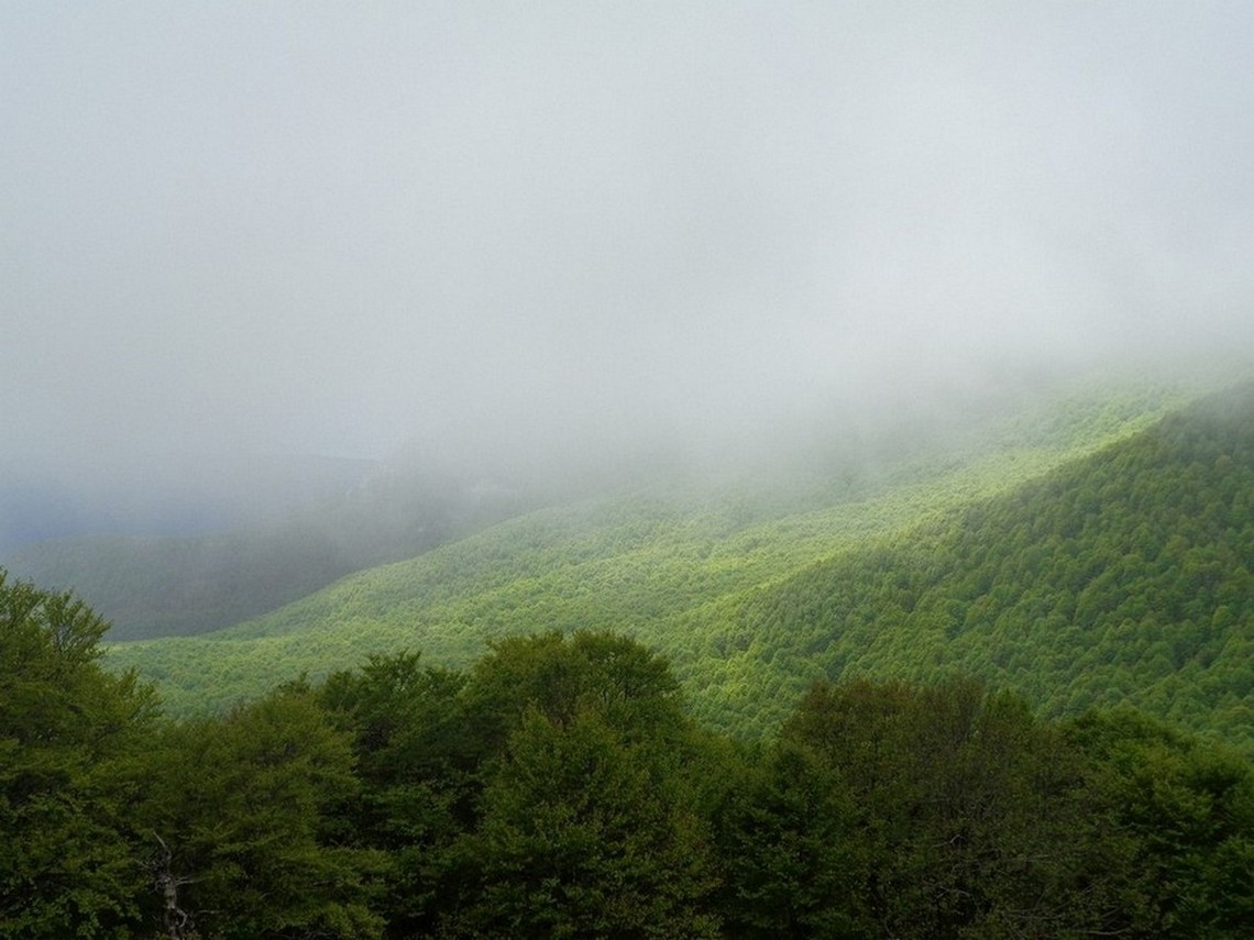 Salutiamo gli ultimi scorci di verde