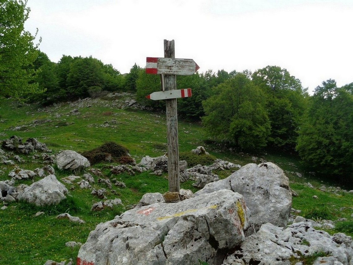 Altra deviazioni