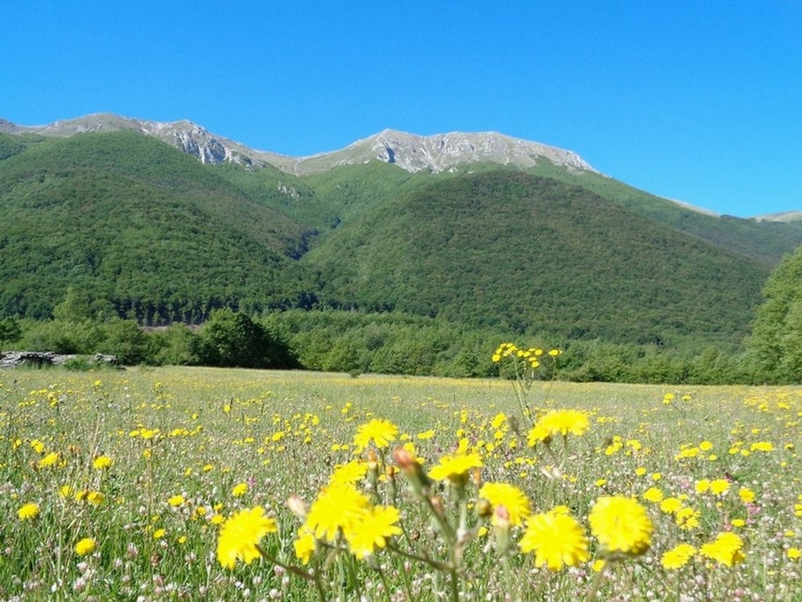Saliremo per la valle a sinistra e scenderemo per la valle a destra