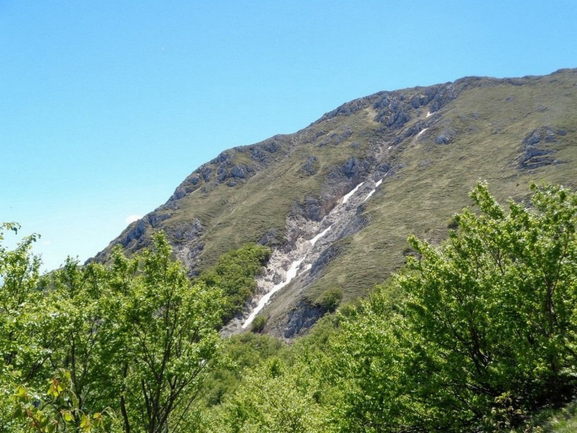 Nevai
