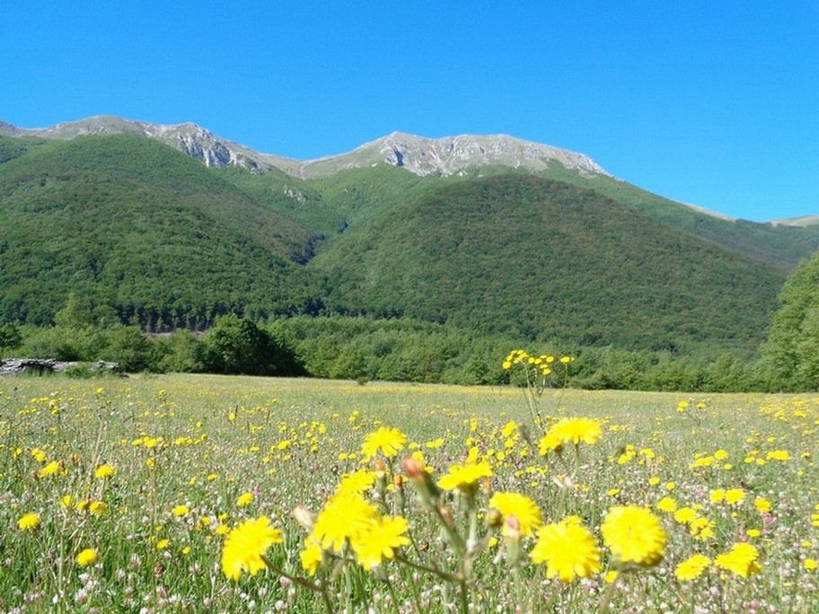 Saliremo per la valle a sinistra e scenderemo per la valle a destra