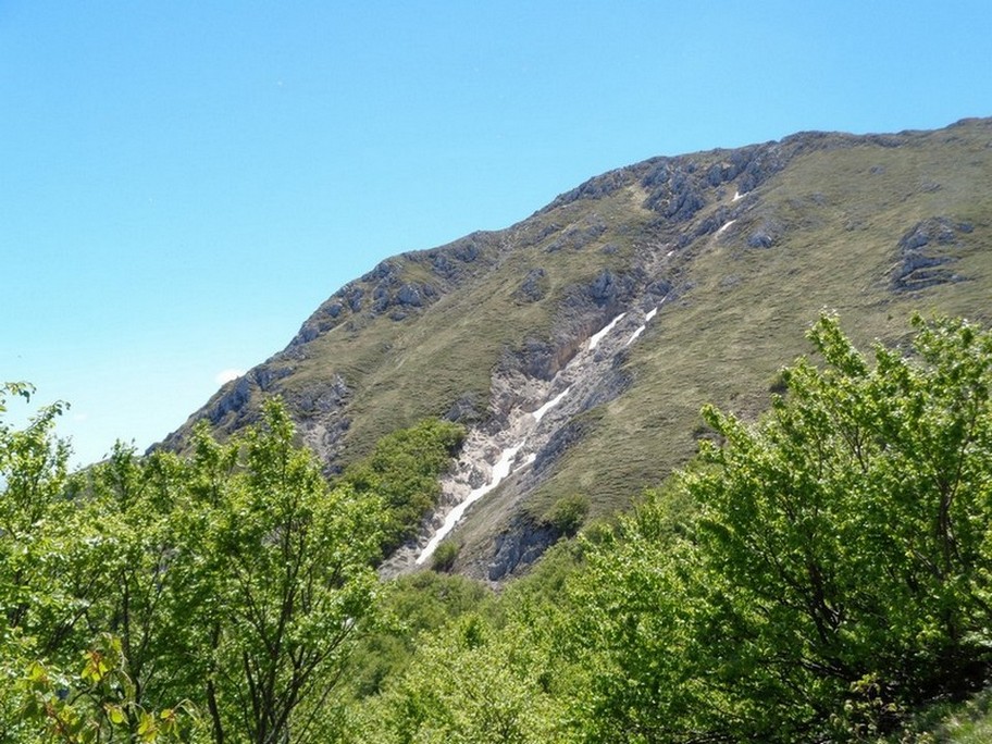 Nevai