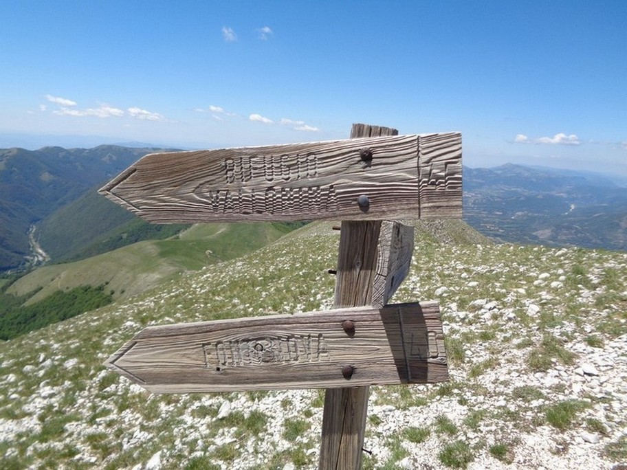 Ve la ricordate la foto iniziale