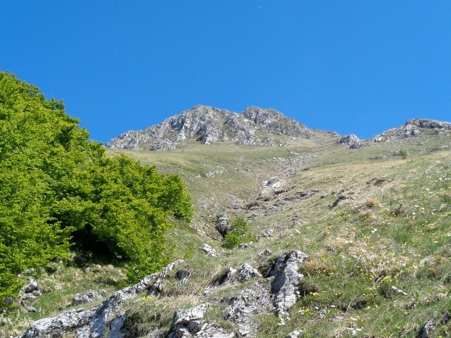 La cresta del Cambio da sotto dal versante opposto