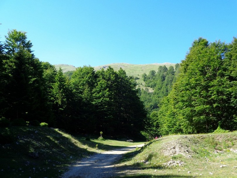 L'inizio del sentiero