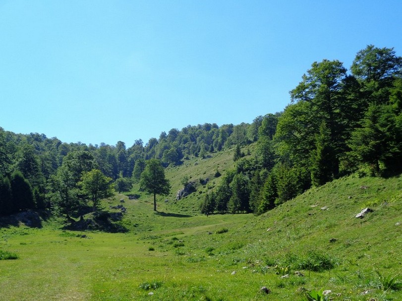 Bellezze della zona