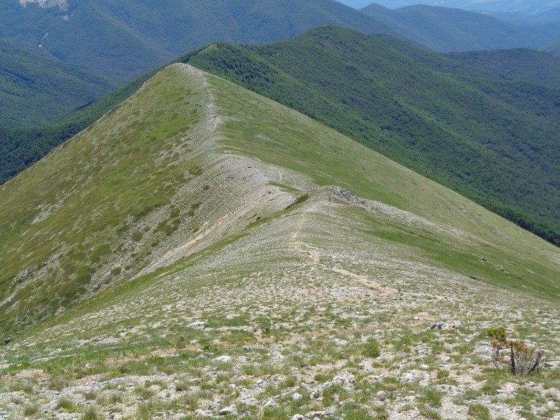 Verso la Bocchetta del Viglio