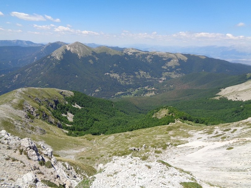 Noi al ritorno passeremo sotto quel bosco
