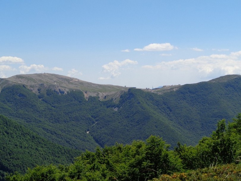 Campo Catino