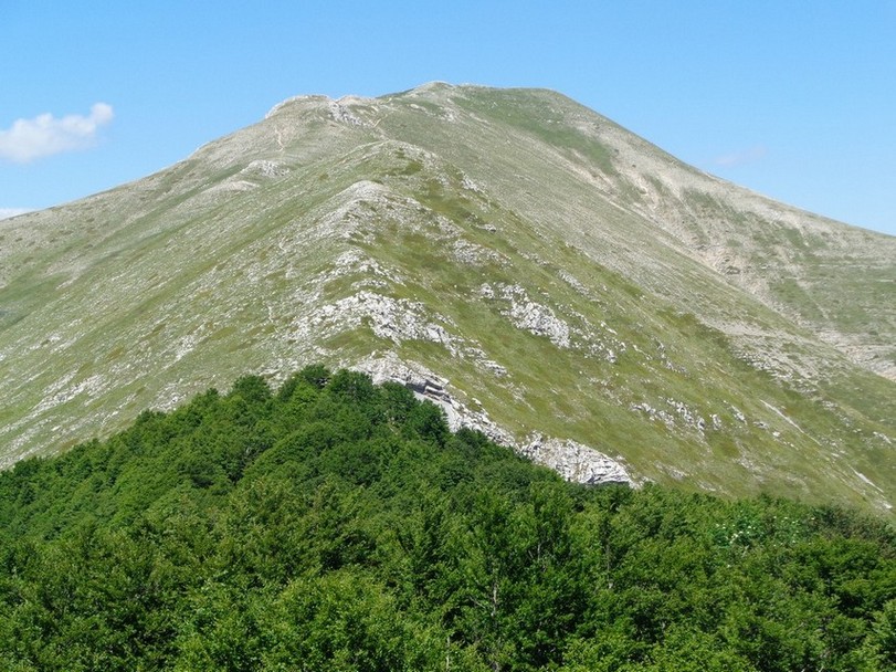 Tutta la cresta percorsa che va verso il Viglio