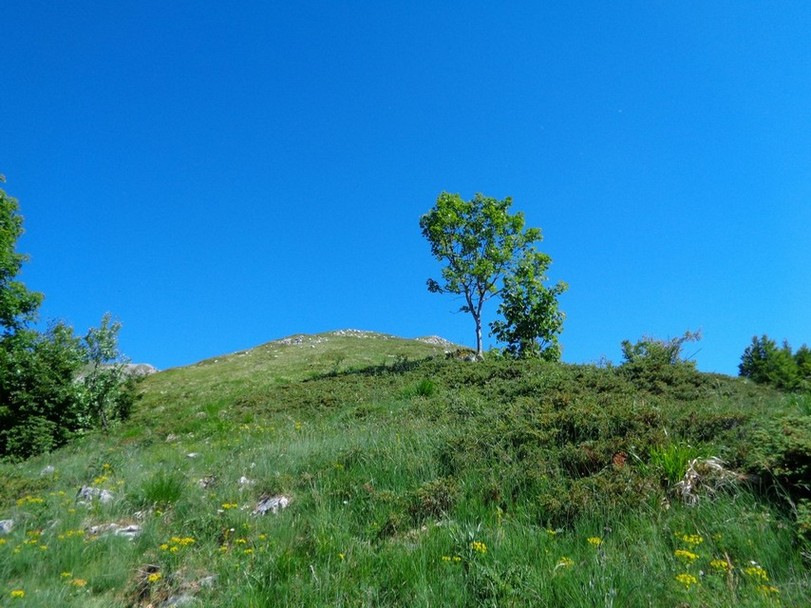 La parte finale del Crestone prima del bosco