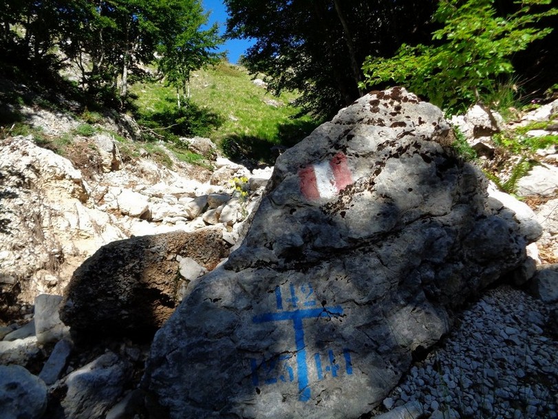 Ruscello di scioglimento delle nevi