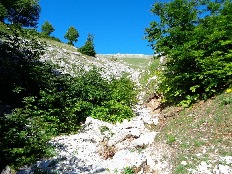 Qui sotto il Monte Piano