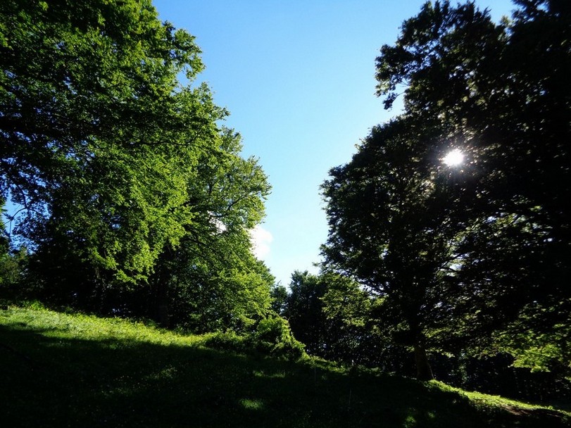 Il sole inizia a scendere