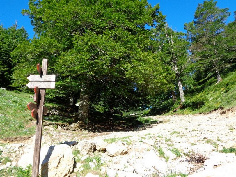 Incrociamo il sentiero dell'andata