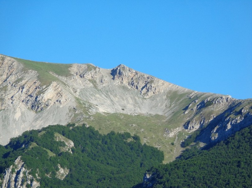 Particolare