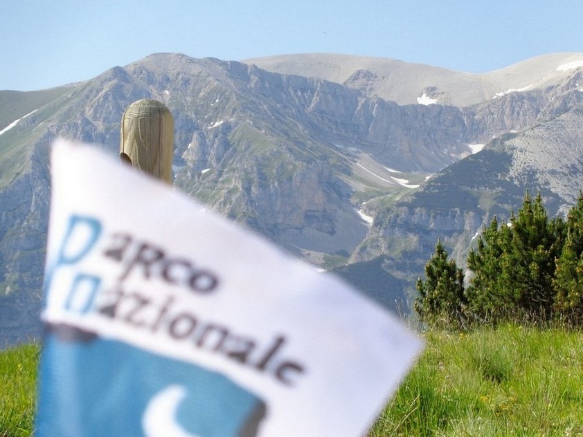 Arriverò proprio sulla montagna sopra il bastone