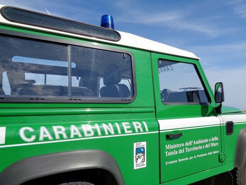 La farsa...dal CFS a Carabinieri...