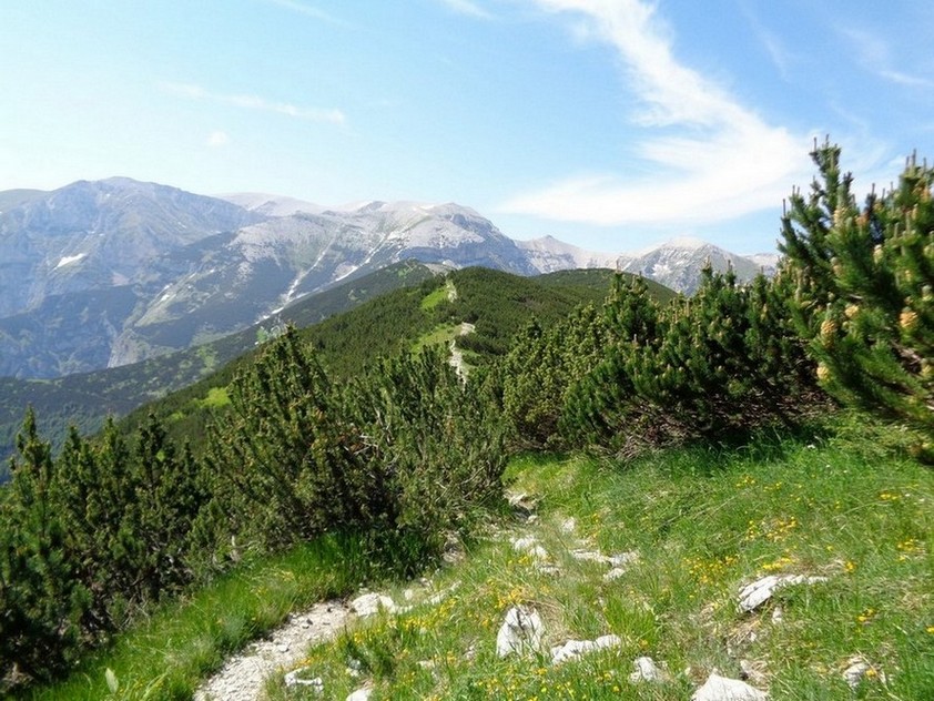 Il sentiero che porta verso la Fonte di Acquaviva