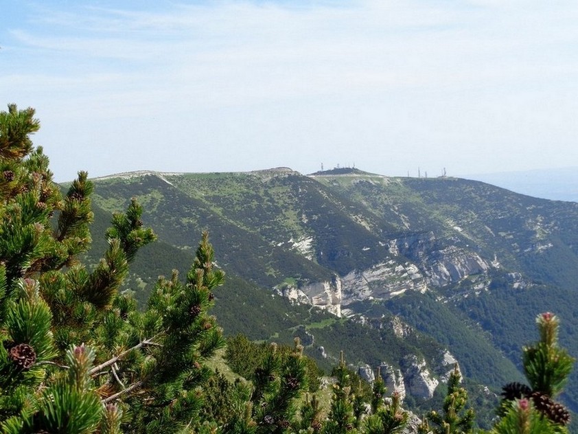 Noi veniamo da quelle antenne..già tutto questo