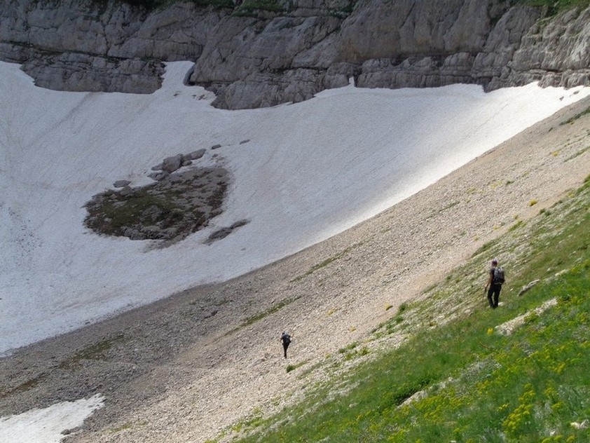 Verso la bellezza